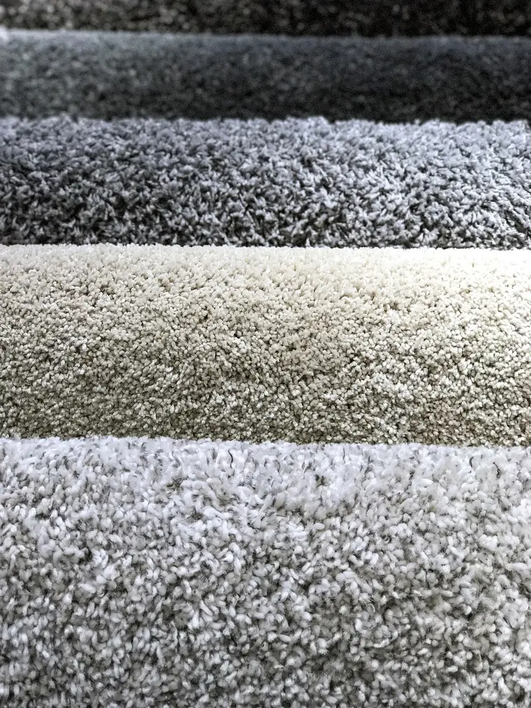 Carpeted room furnished and finished